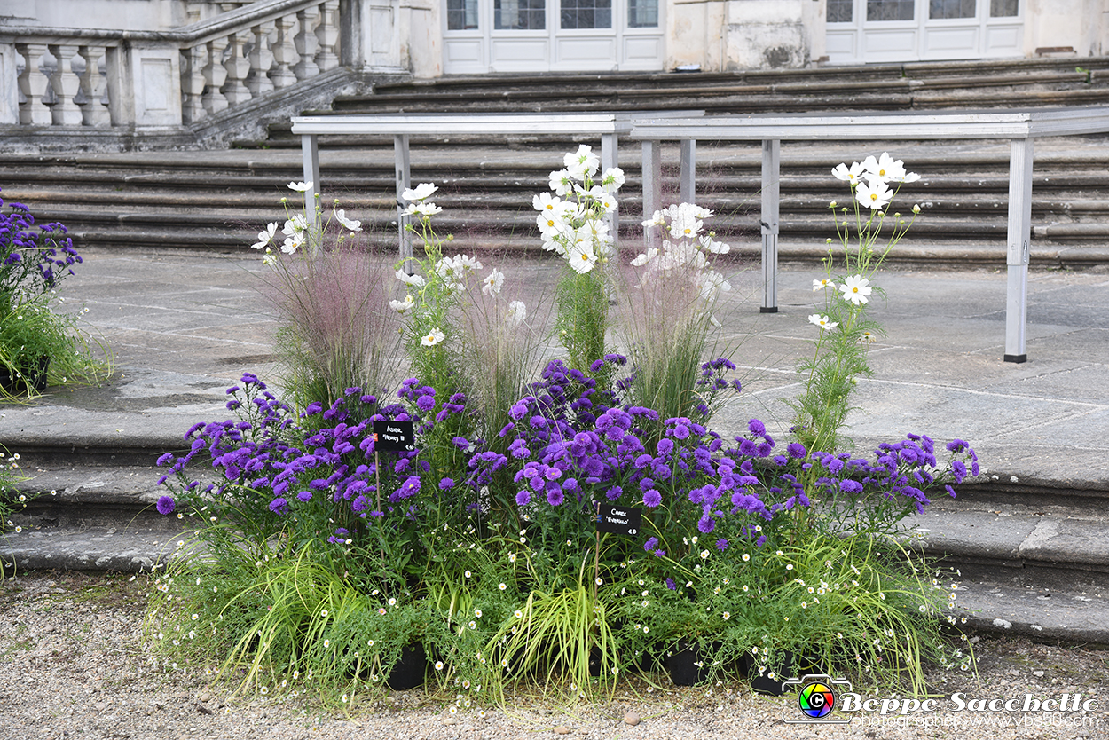 VBS_3561 - Floreal 2023 - Vivere con le piante.jpg